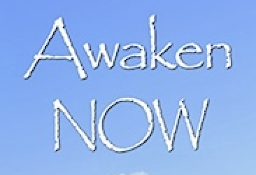 Awaken Now Book image