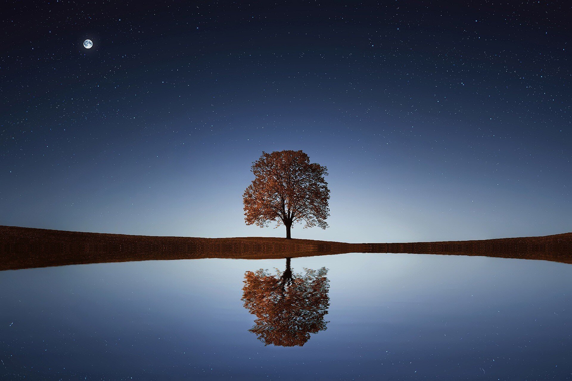 Acceptance & Clearing